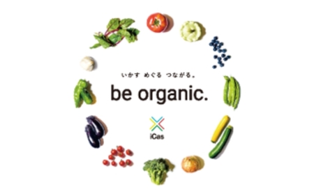 トマトジュース 6本 無添加 トマトジュース