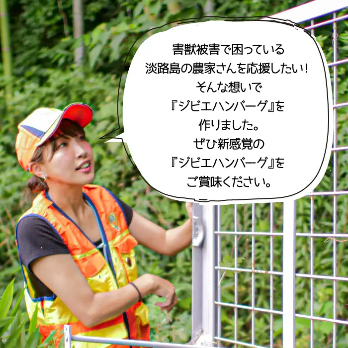 【ジビエハンバーグ】淡路島産イノシシハンバーグ12個セット