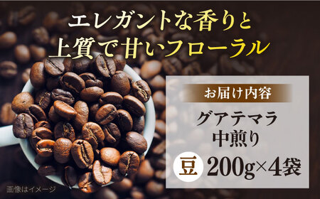 コーヒー豆 お試し 自家焙煎 中煎り グアテマラ 200g×4 TSUKIKOYA COFFEE ROASTER ツキコヤ 珈琲 こだわり 横須賀【株式会社RUINS】 [AKAD036]