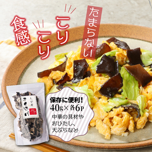 貴重な国産品です！国東産乾燥きくらげ_29059A