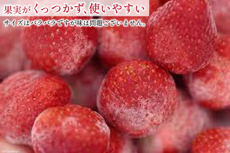 いちご 博多 冷凍あまおう 約500g×2袋 計約1kg [エイチアンドフューチャーズ 福岡県 筑紫野市 21760520]