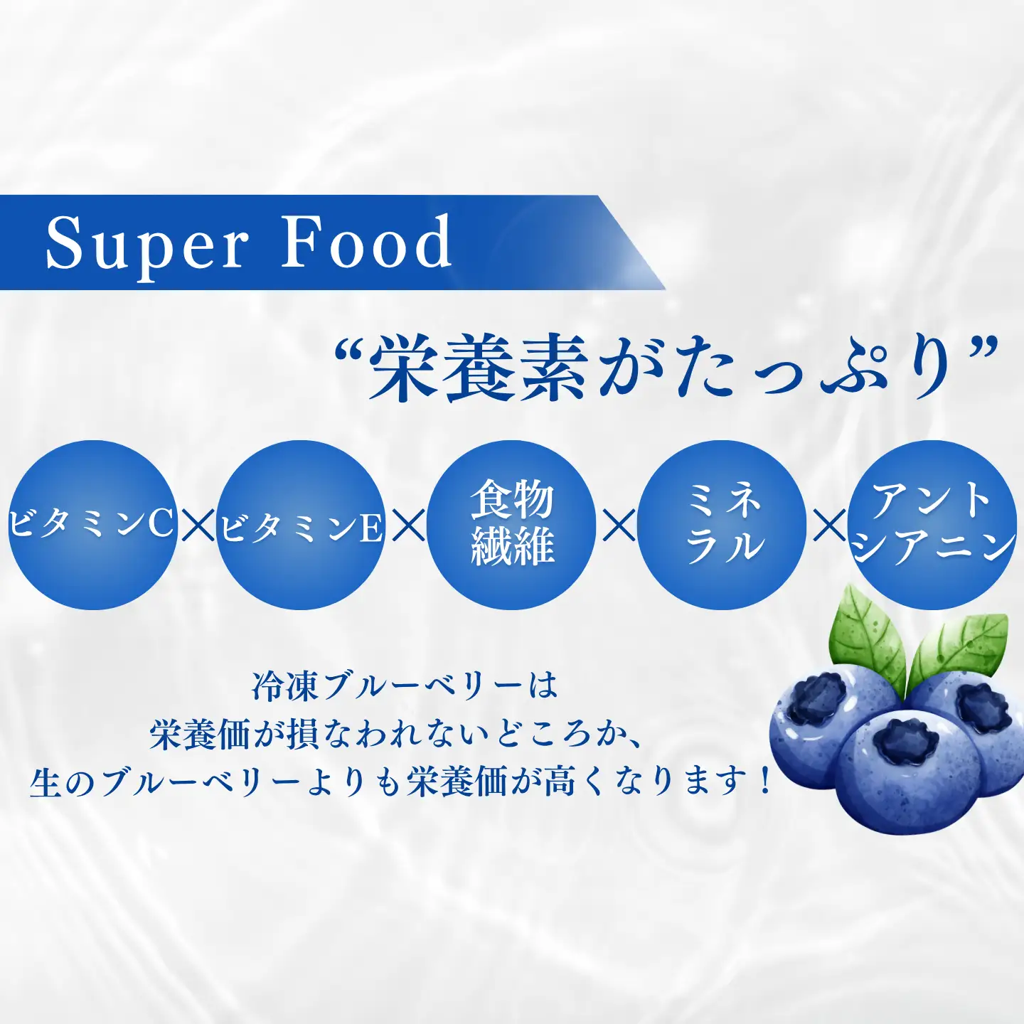 シルクファーム産　冷凍ブルーベリー1000g（500g×2パック）