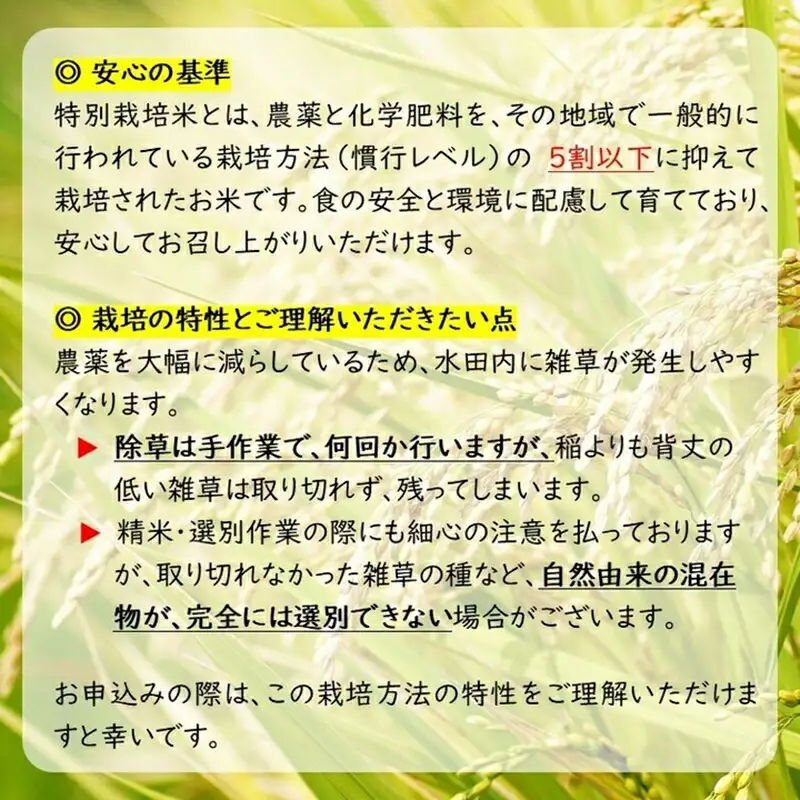 令和５年度産（古米）１０月収穫　 長野県産コ シヒカリ　玄米保管　１９キロ 野沢農産 5kg 玄米 お米 送料無料 コシヒカリ こしひかり 流るる 長野