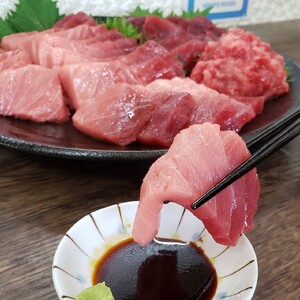 三崎港 直送 天然 南まぐろ 中トロ ・ 赤身 1kg ブロック M078-001-01 冷凍 マグロ