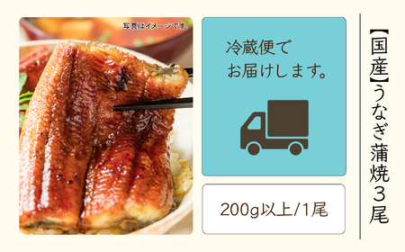 国産うなぎ蒲焼３尾