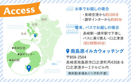 南島原 イルカウォッチング  子ども用 ペアチケット / チケット ちけっと 体験型 観光チケット いるか イルカ イルカ体験 貸し切り いるか イルカ / 南島原市 / 南島原イルカウォッチング [SAE004]