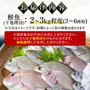 i861 ＜下処理済・加熱用＞おまかせ鮮魚BOX(約2～3kg程度・3～6種類)  魚 鮮魚 下処理済み 鹿児島県 出水近海 煮付 料理 旬 何が届くかはお楽しみ【出水はやし】