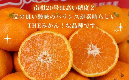準 贈答用 みかん 南柑20号 5kg 矢野青果 温州みかん 柑橘 温州 うんしゅう 果物 くだもの フルーツ 濃厚 甘い 甘味 蜜柑 準贈答用 贈答品 贈答 ギフト プレゼント 産地直送 農家直送 数量限定 国産 愛媛 宇和島 B012-171005