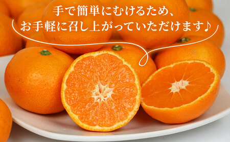 【温州】 南柑20号 2 ~ 3kg 矢野青果 温州 B012-171006