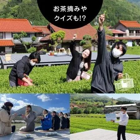 【参加チケット】茶畑を一望するお茶農家のテラスで煎茶体験＆飲み比べ【1442288】