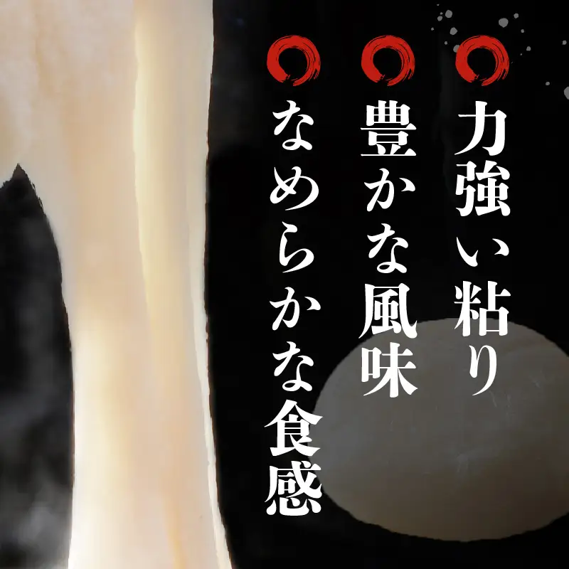 【先行予約】年内発送  丸餅 約1kg 80g × 13個 【2026年12月14日～12月25日の期間に順次発送】 [e35-a034]