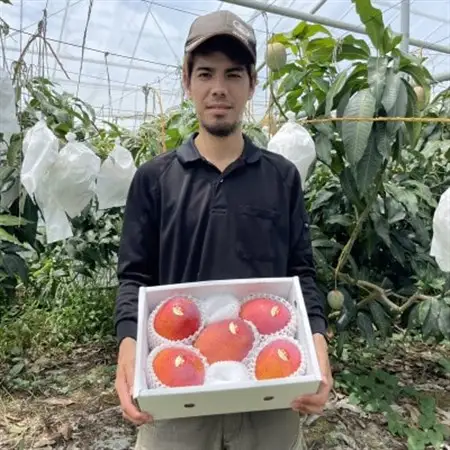 【2026年6月から順次発送・特選】仲本マンゴー園のアーウィンマンゴー2kg(4～5玉)【配送不可地域：離島】【1439441】