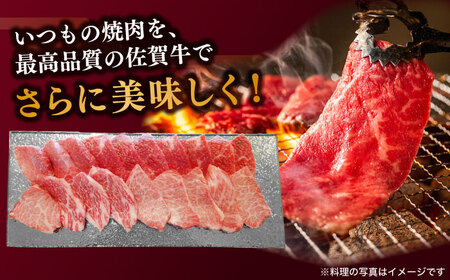 佐賀牛 焼肉用 400g 厳選部位 / 牛肉 [IAX033]
