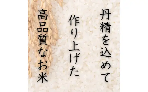 和歌山県産 キヌヒカリ 5kg(2025年産)  産地直送 米 こめ ご飯 ごはん 【sml400-kinu-5D】