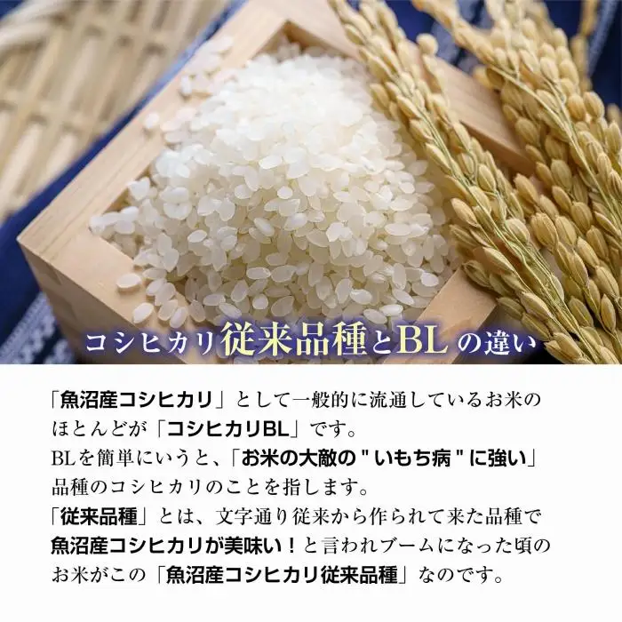 ｜定期便｜ 新潟県 南魚沼産 コシヒカリ 【従来品種】塩沢地区 お米 10kg × 12回 毎月発送 精米済み（お米の美味しい炊き方ガイド付き）【定期便 銘柄米 ブランド米 精米 こしひかり コシヒカリ 魚沼産 新潟米 産地直送 ごはん】