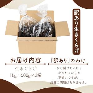 （訳あり）生きくらげ１kg