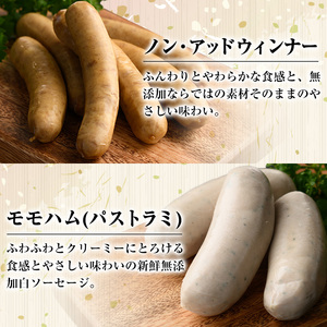 【A03007】南州農場黒豚ノン・アッドソーセージ詰合せA(2種) 鹿児島 国産 九州産 黒豚 豚肉 お肉 ソーセージ ウインナー 無添加 肉加工品 贈答 ギフト【南州農場(株)高山ミートセンター】