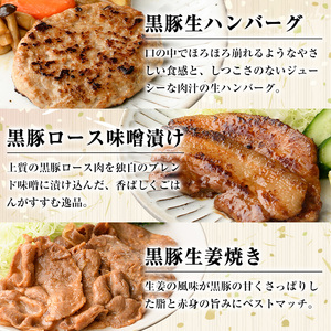 【A03006】南州農場黒豚バラエティ詰合せB 鹿児島 国産 九州産 黒豚 豚肉 お肉 ハンバーグ 生姜焼き ロース 味噌漬け みそ おかず 肉加工品 贈答 ギフト【南州農場(株)高山ミートセンター】
