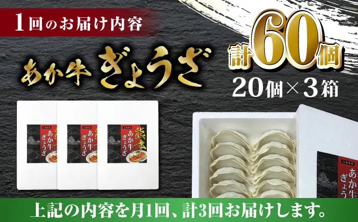 【全3回定期便】熊本和牛 あか牛ぎょうざ 20個×3箱【有限会社 三協畜産】 国産  餃子 ぎょうざ ギョウザ [ZEB060]