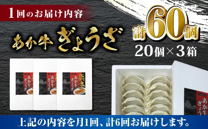 【全6回定期便】熊本和牛 あか牛ぎょうざ 20個×3箱【有限会社 三協畜産】 国産  餃子 ぎょうざ ギョウザ [ZEB077]