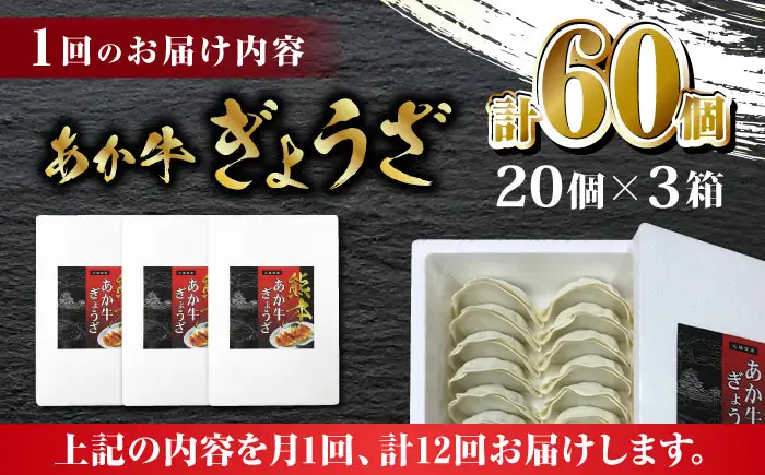 【全12回定期便】熊本和牛 あか牛ぎょうざ 20個×3箱【有限会社 三協畜産】 国産  餃子 ぎょうざ ギョウザ [ZEB092]