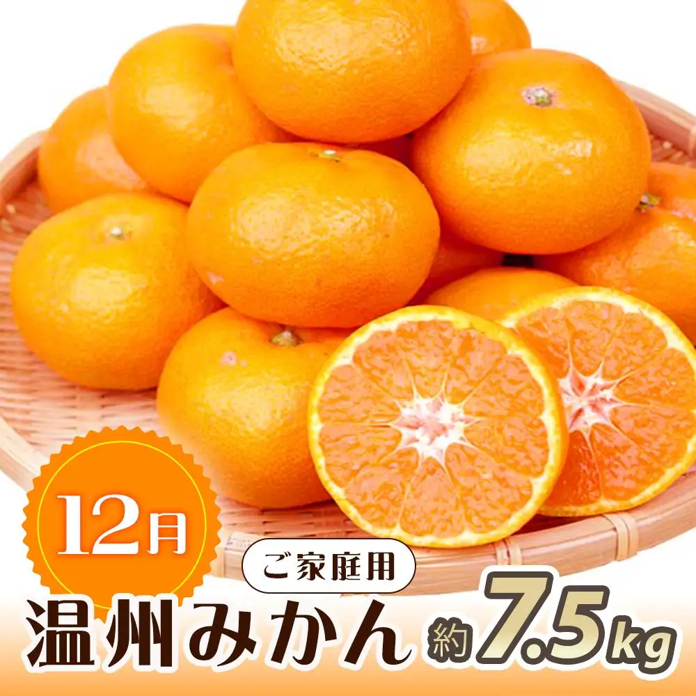 【10・11・12月 全3回】和歌山産 みかんと柿のお楽しみ 定期便 【魚鶴商店】【UT111】