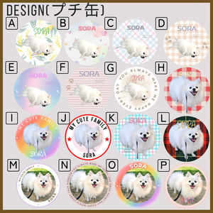  【ペット専用】うちの子ケアセット オリジナルプチ缶1個+うちの子専用肉球Bigリップクリームセット 《 犬 ケア みつろう リップクリーム 缶 セット 詰め合わせ オリジナル ホホバオイル 》【2400N13305】