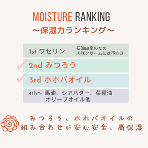【ペット専用】みつろう肉球クリーム Bigリップクリーム 《 ペットグッズ 犬 ケア みつろう リップクリーム クリーム ホホバオイル 》【2400N13310】