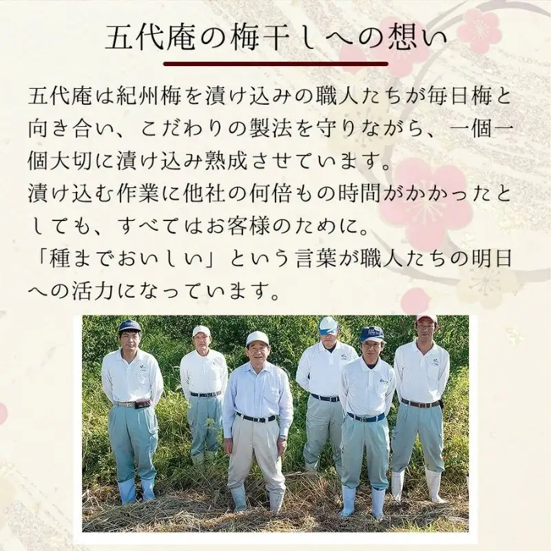 紀州五代の夢想　10粒【azmn007B】