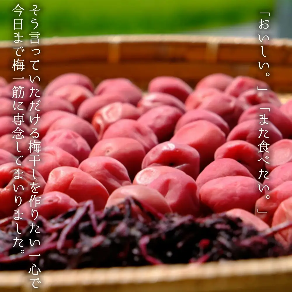 まけん梅(R) はちみつ漬 蜜宝梅 3kg(500g×6) 塩分約5％ 梅干し 紀州南高梅 nankiume003B【nankiume003B】