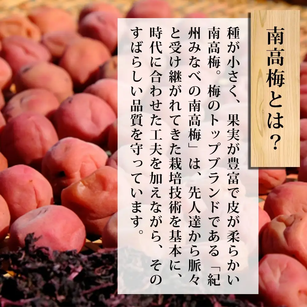 紀州南高梅　「稔」20粒入【sekifz003B】