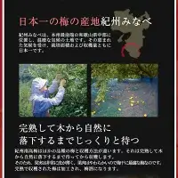 梅の香(田舎漬梅干)20粒 mang002A【mang002A】