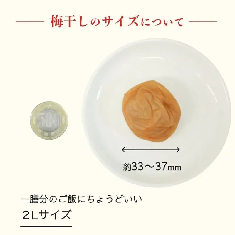【常温保管可能 】ミネラル豊かな天日塩だけで漬けた無添加梅干し1kg×2パック／塩分18％　南高梅 umehkr006A【umehkr006A】