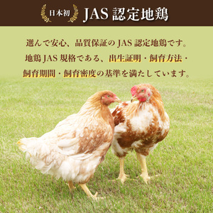 ぴりっと辛ウマ！ホットウィング　２kgセット 