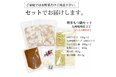 博多もつ鍋 セット (九州味噌仕立て) 2～3人前 [ベネフィス 福岡県 筑紫野市 21761405]