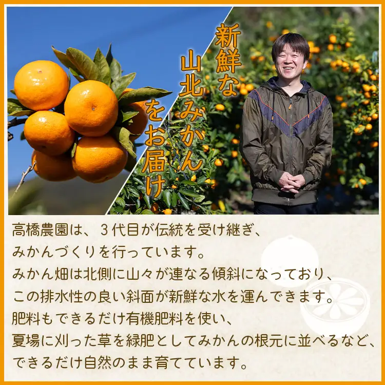 【2026年11月中旬より順次配送】山北みかん 10kg 訳あり みかん th-0027
