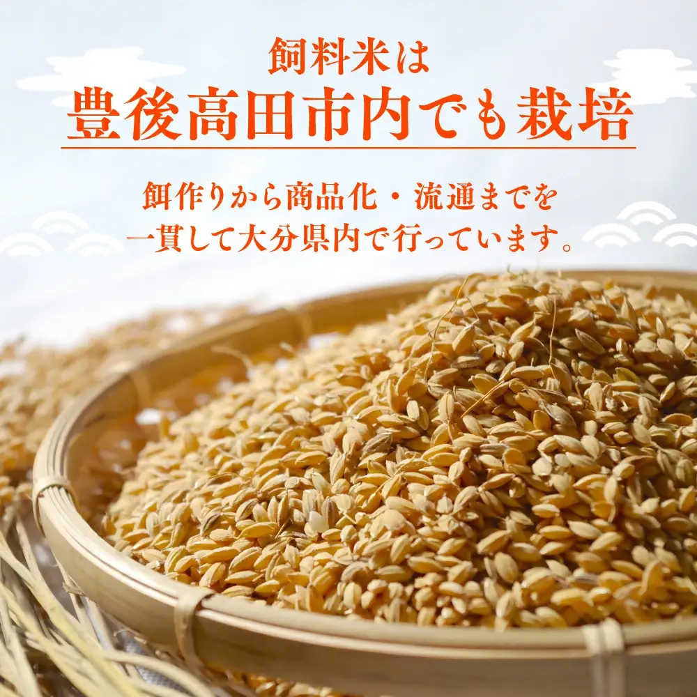 豊後・米仕上牛 ハンバーグ、メンチカツ セット(計10個) | 豊後高田市 ハンバーグ