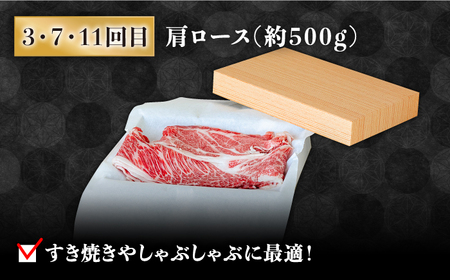 【豪華12回定期便】長崎和牛 食べ比べ [SCH055] ヒレステーキ ヒレ
