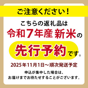 ＜定期便全12回＞ 米 岡山県産精米 令和7年産きぬむすめ無洗米５kg定期便 【tkns-tkb021-cho】