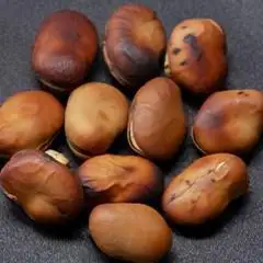 【青山豆十本舗】京都東山 豆十の豆菓子詰め合わせ 5種 | 京都銘菓 人気セット おやつ