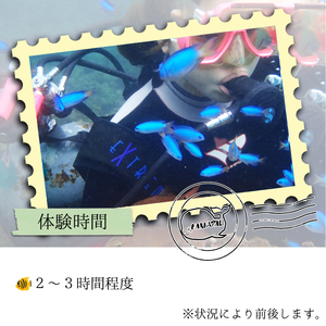 徳島最南端の海で体験ダイビング！