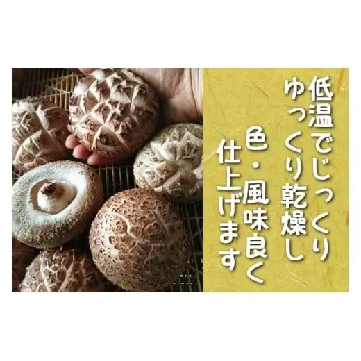 肉厚・厳選！原木育ちの上どんこ110g｜栃木県 矢板市 しいたけ 椎茸 産地直送  