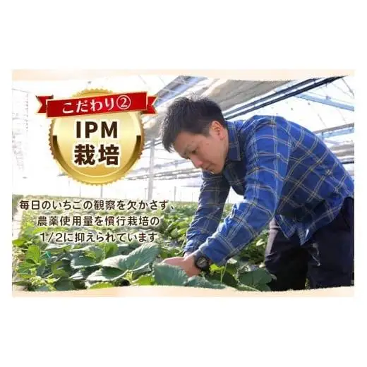 【ふるなびWEEK対象】【先行予約】幸せを呼ぶハート型 栃木の新品種《とちあいか》1,120g (280g×4P)