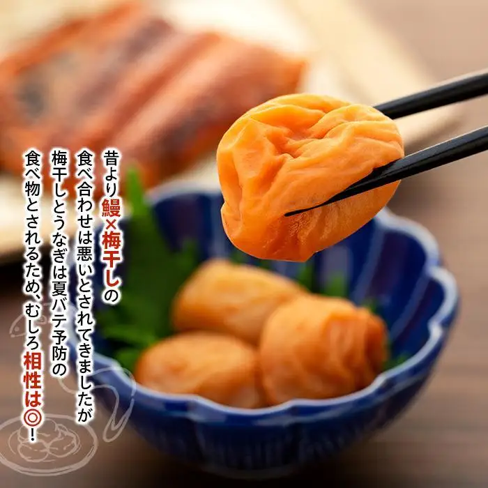 紀州南高梅うな丼 うなぎ蒲焼 240g  × 紀州南高梅干  80g うす塩味 塩分10％  約3人前 うなぎ 鰻