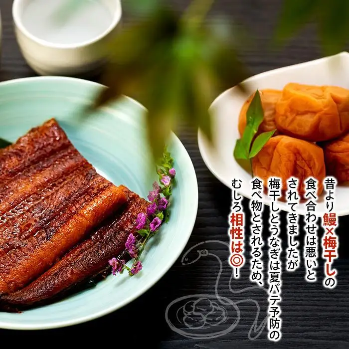 紀州南高梅 うな丼 うなぎ蒲焼 240g  × 紀州南高梅干  80g 有田みかん蜂蜜 塩分7％  約3人前 うなぎ 鰻