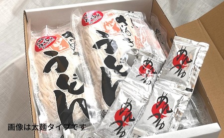 さぬきうどん 名物純生うどん つるっと細麺タイプ（つゆ付き）乳酸菌入り 300ｇ×6袋 麺類 美味しい コシ 腸内環境 健やか 健康 箱入り たっぷり 