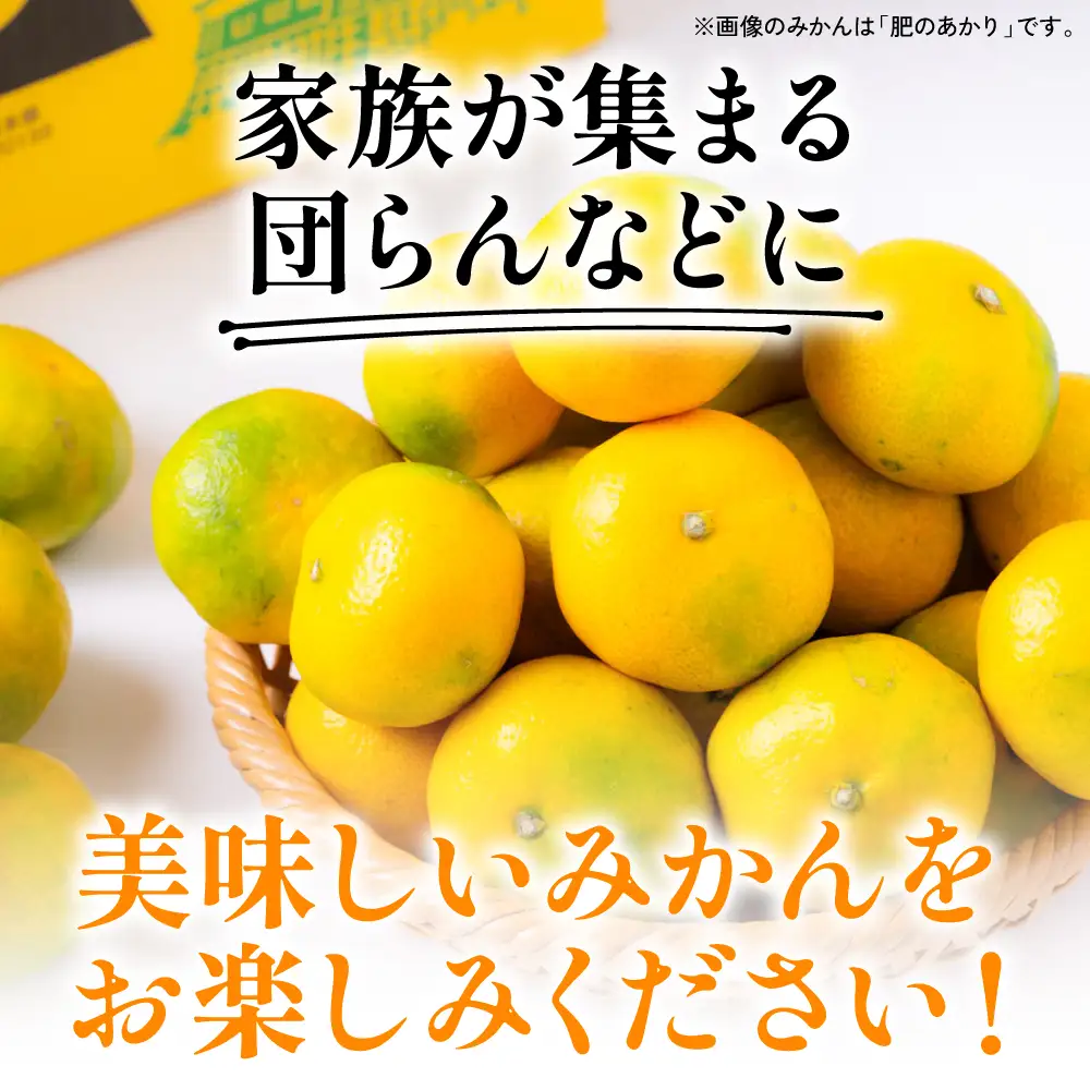 【先行予約】みかん 数量限定 八代市東陽町産の季節のみかん5kg みかん 【2026年9月下旬より順次発送】 