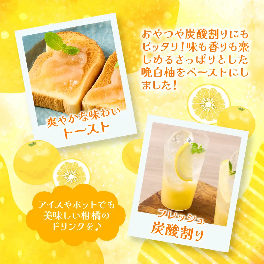 熊本県 八代市産 晩白柚ペースト「マキシト」& 晩白柚ゼリー「マキシトゼリー」『お手軽セット』（合計860g） ばんぺいゆ 柑橘 手作り