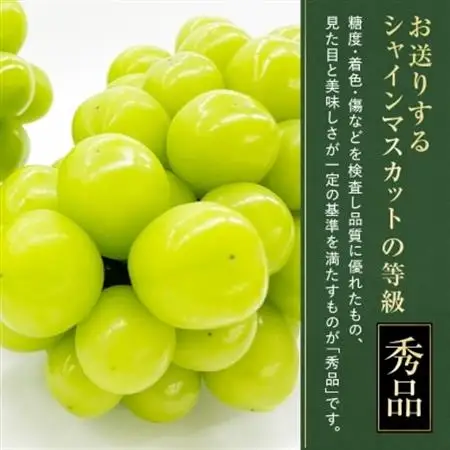 【2026年発送】大人気!シャインマスカット秀 1.2kg(2～3房)【配送不可地域：離島】【1442579】