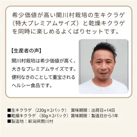 あらかわキクラゲ生・乾燥セット(生キクラゲ220g×2P・乾燥キクラゲ30g×2P) [贈呈用]【配送不可地域：離島】【1442531】